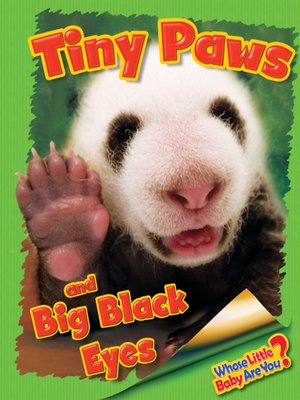 cover image of Tiny Paws and Big Black Eyes (Giant Panda)